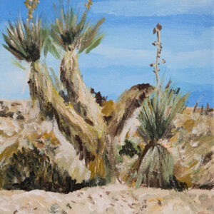 Desert Yucca