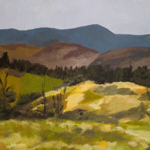 Eldon Farm View