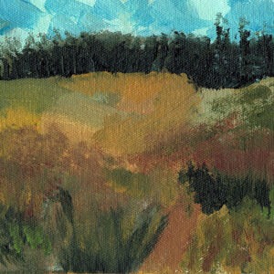 High Desert Grass
