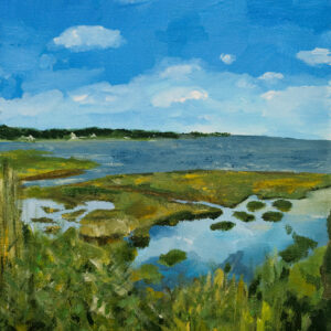 Marshland South Point