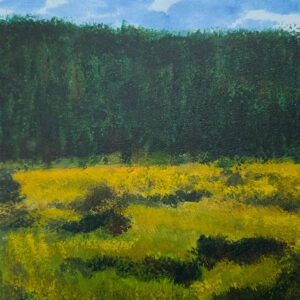 Medicine Bow Forest