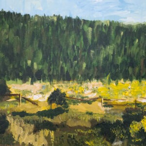 Medicine Bow Forest Fence