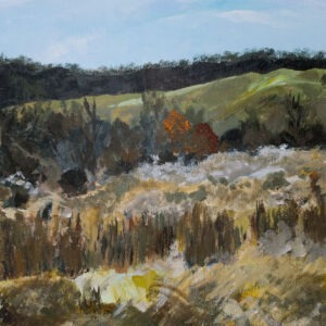 Rappahannock Grasses